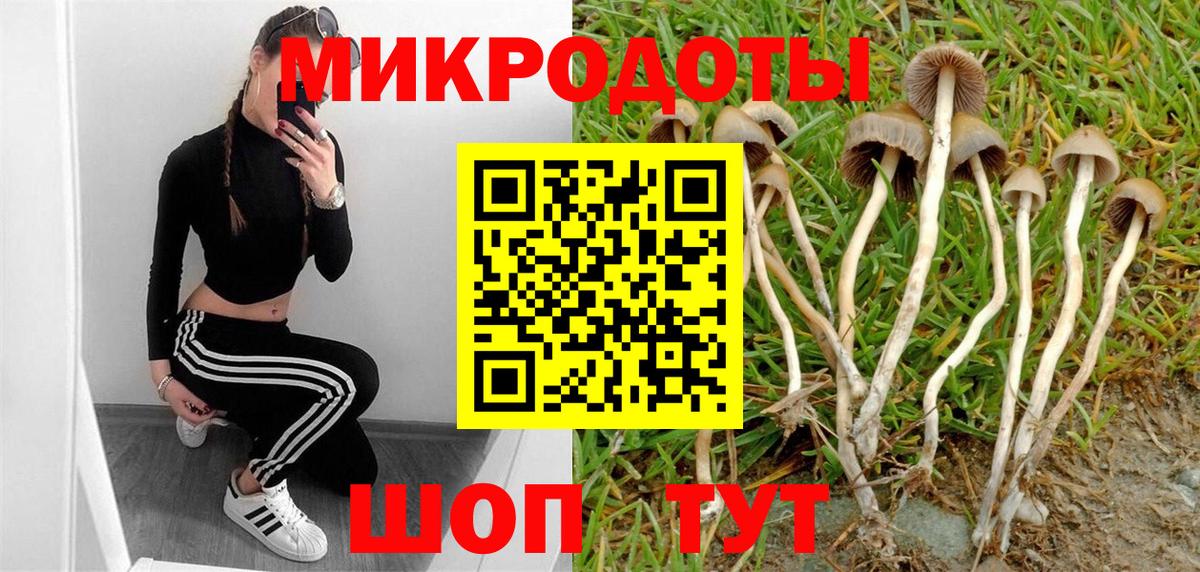 Псилоцибиновые грибы Magic Shrooms Карпинск